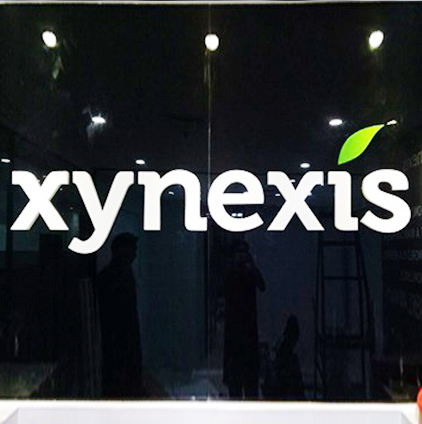 Xynesis Letter